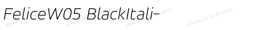 FeliceW05 BlackItali字体转换